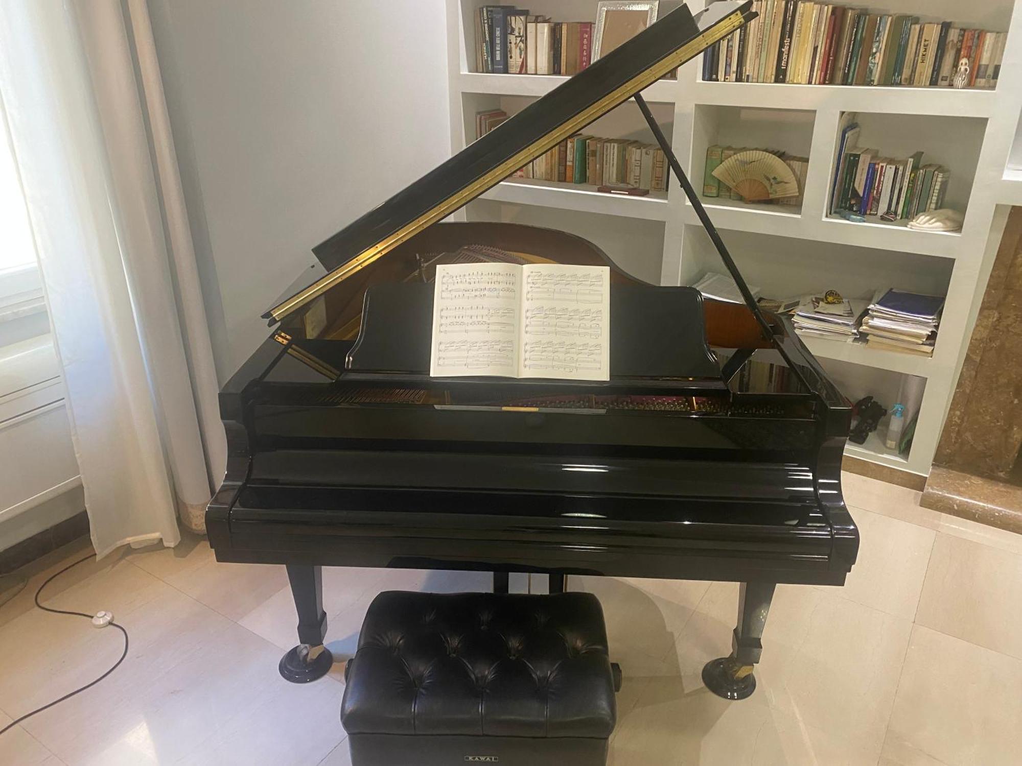 La Pianista Sull'oceano Apartamento